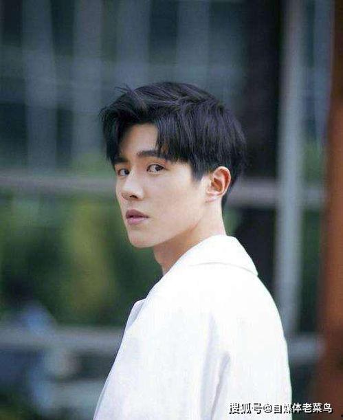 爆料刘昊然陈坤事件视频,真相与争议交织